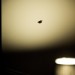 DSC_5531 thumbnail