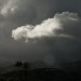 DSC_6287 thumbnail