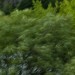 DSC_7473 thumbnail