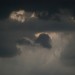 DSC_1431 thumbnail