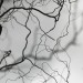 DSC_4224 thumbnail