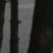 DSC_4333 thumbnail