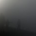 DSC_5020 thumbnail