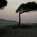 dsc_6035 thumbnail