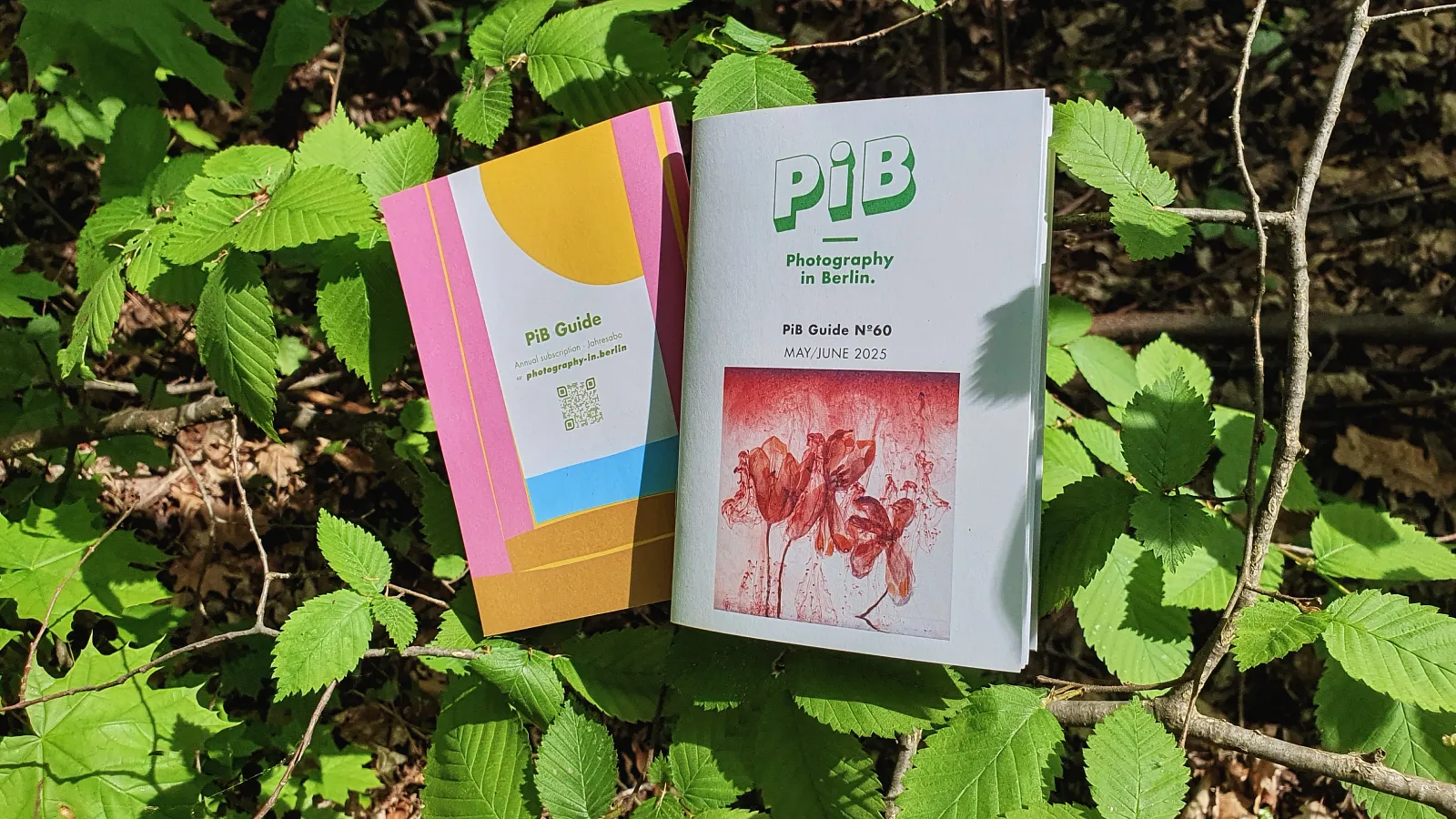 PiB Guide Nº60
