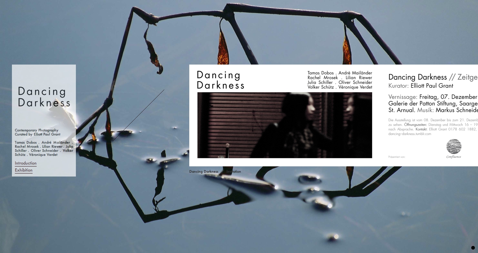 Website for Dancing Darkness